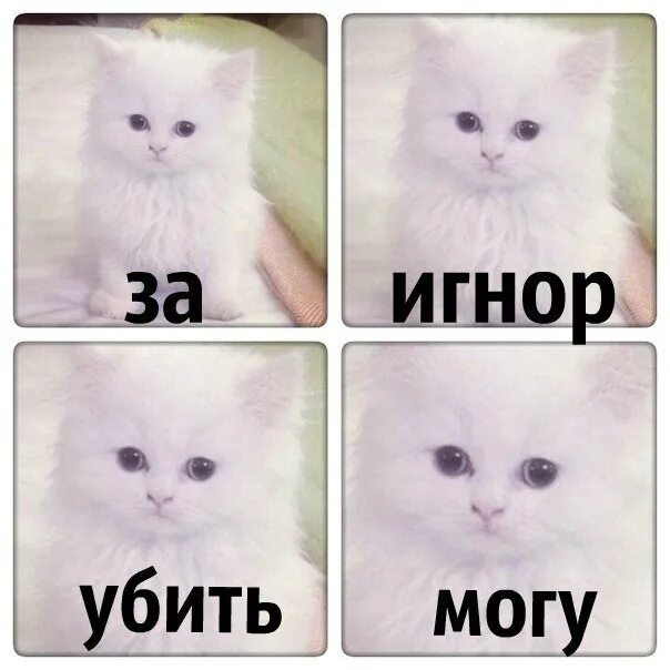 Игнор мем. Мем когда тебя проигнорили. Сорри. Игноришь. Мем игнорщику.