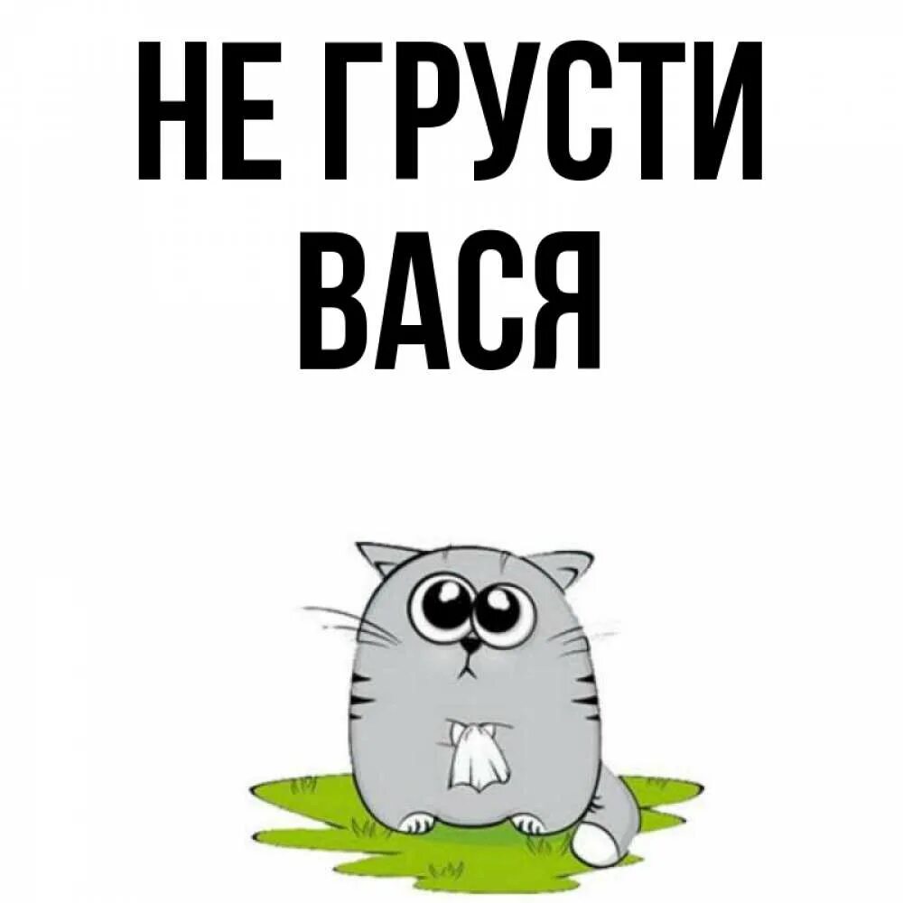 Кличка вася. Обои с именем Вася. Открытки с именем Вася. Смешные картинки с именем Вася. Вася грустит картинки.