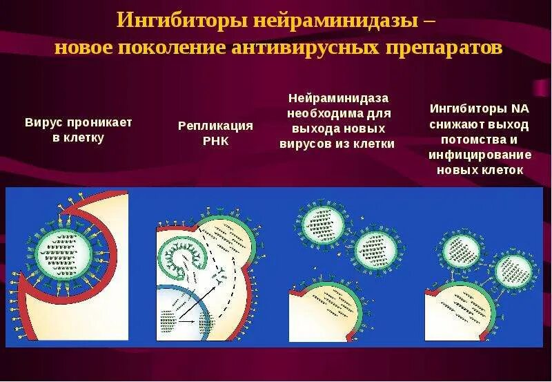 Ингибитор нейраминидазы гриппа. Ингибиторы нейраминидазы вируса гриппа а. ингибиторы нейраминидазы препараты. противогриппозный препарат ингибитор нейраминидазы. ингибиторы неромидаза.