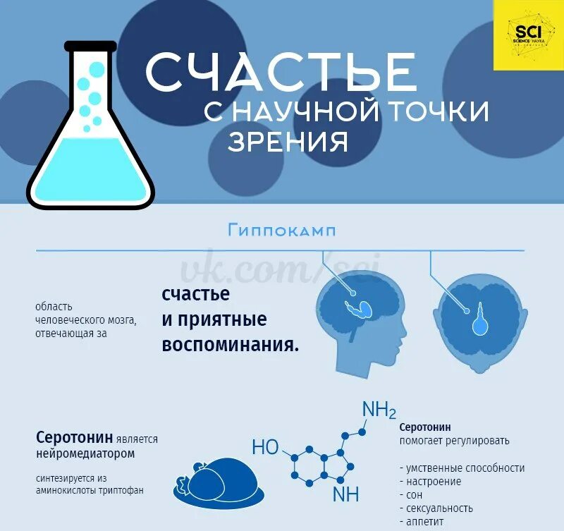 Мысли с научной точки зрения. Счастье инфографика. С научной точки зрения. Счастье с точки зрения химии. Человек с точки зрения химии.