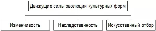 Движущие силы эволюции тест. Движущие силы эволюции культурных форм. движущие силы искусственного отбора. движущие силы эволюции искусственного отбора. факторы и движущие силы эволюции искусственный отбор.