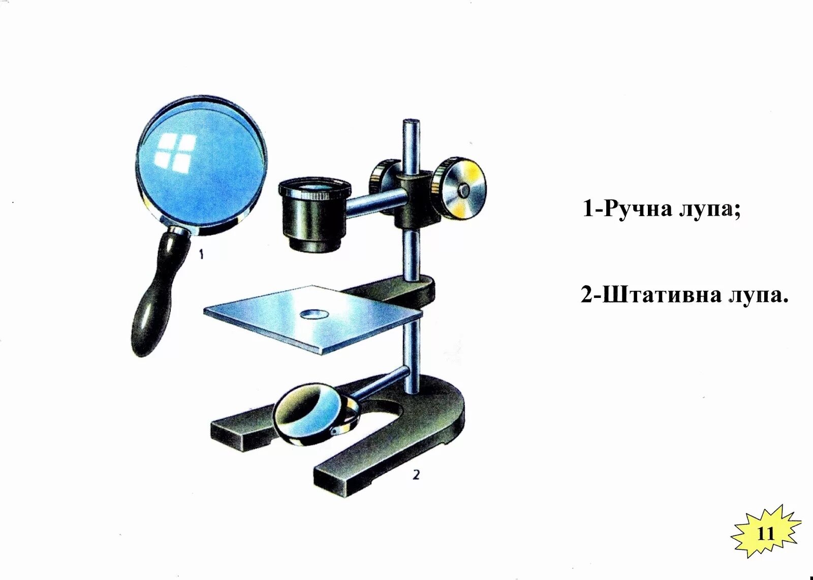 Штативная лупа строение 5 класс биология. Штативная лупа строение 5. штативная лупа строение 5 класс. биология 5 класс лупа, штативная лупа, микроскоп. штативная лупа строение и функции.