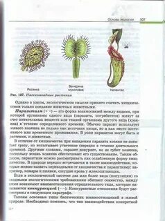 Биология 10 класс краткое содержание параграфов