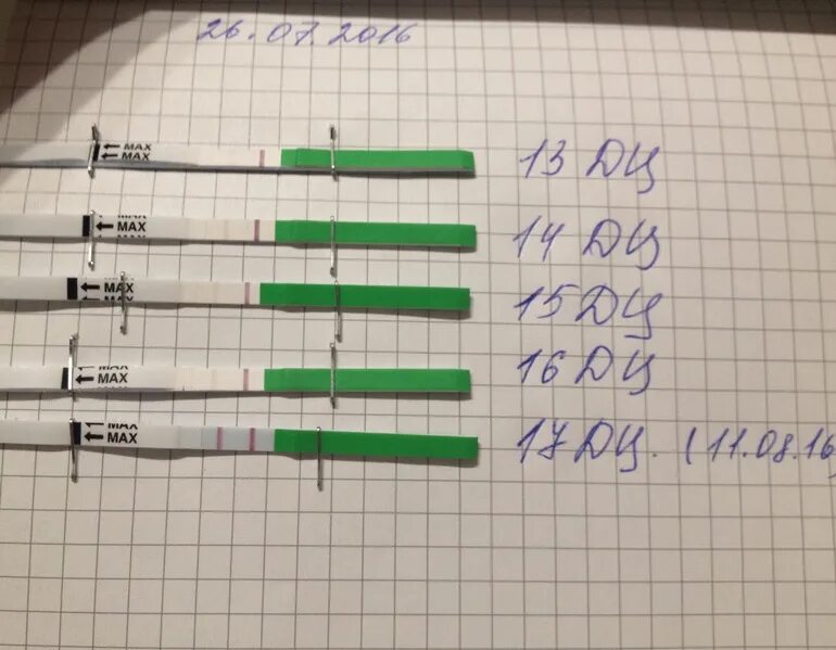 Овуплан овуляция. Овуплан тест на овуляцию. Тесты овуплан динамика. Тест на овуляцию 9дц тесты овуплан. Динамика тестов на овуляцию овуплан.