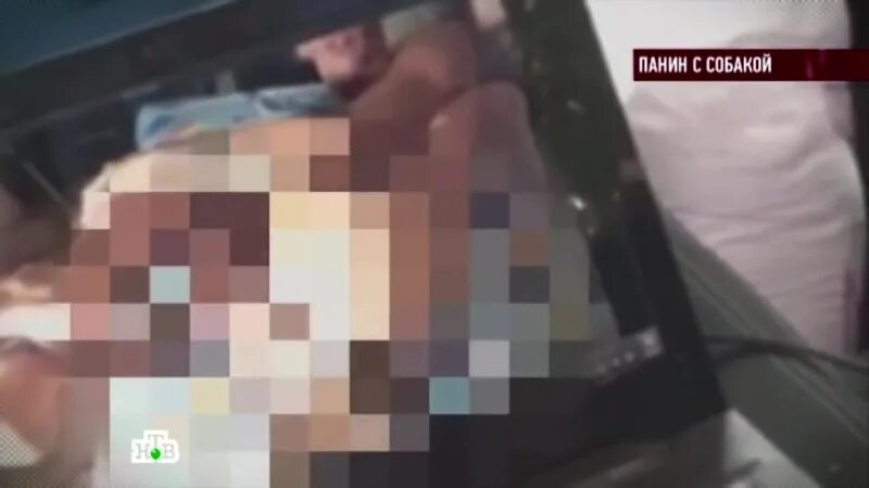 Мужчина без цензуры видео. Панин с собакой. Панин с собакой без ретуши.