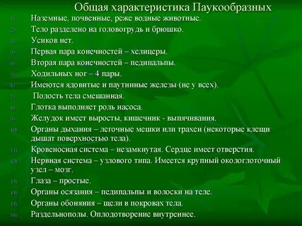 Назовите отличительные признаки паукообразных