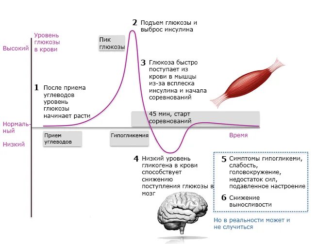 Уровня выработки инсулина. График уровень Глюкозы в крови после еды. График изменения уровня Глюкозы в крови. Инсулин снижает уровень Глюкозы в крови. Инсулин снижает уровень сахара в крови.