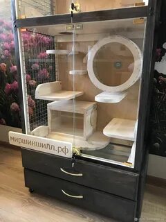 Витрина для шиншилл