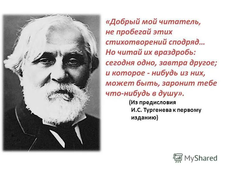 тц пушкинский пушкино тургенева 1. улица тургенева дом 1 пушкино. жк тургенев краснодар планировки. переулок тургенева самара. индекс тургенева 1.