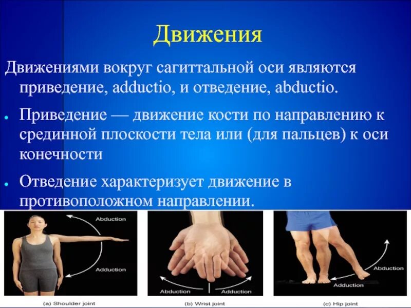 Вокруг сагиттальной оси. Приведение отведение сустав. Сагиттальная ось движения. Движение вокруг осей. Направление движения по оси