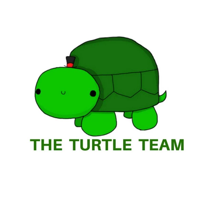 Left turtle. Turtle команды. Turtle Поисковая система. Система команд черепаха. Ник Turtle.