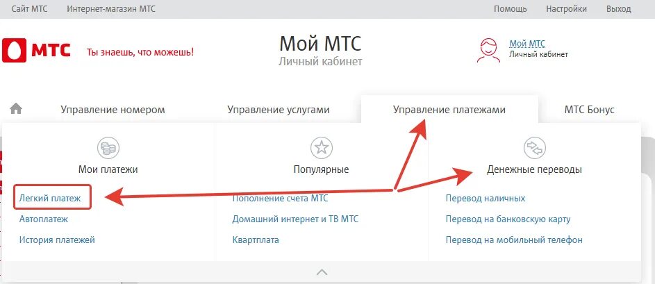 Вывод денег на карту. Вывести деньги с МТС на карту. МТС вывод средств. Перевести деньги с МТС лимит.