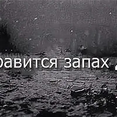 Дождь запах люблю. Люблю запах дождя. запах дождя статус. мне очень нравится дождь цитаты. ночь пахнет дождем.