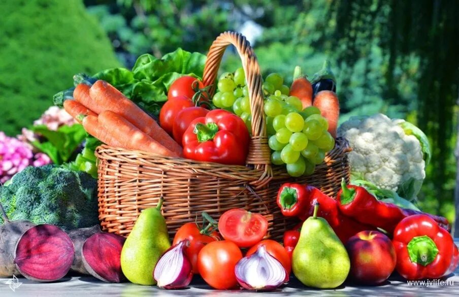 Лето время овощей и фруктов. Овощи, фрукты, ягоды. Летние овощи и фрукты. Лето овощи. Овощи и фрукты летом.