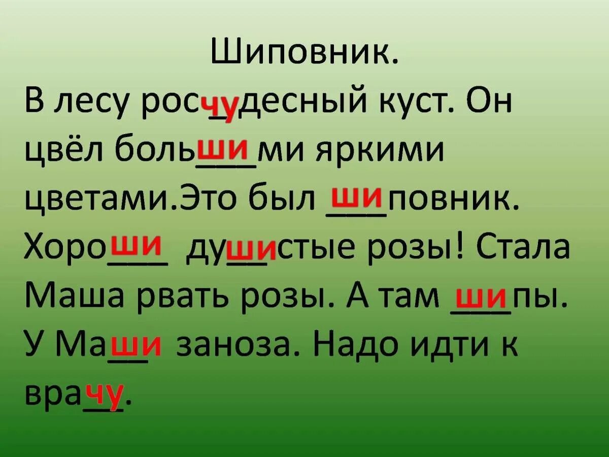 Слова с жи ши. Слова с же ше. Чтение слов с жи ши. Текст с жи ши.