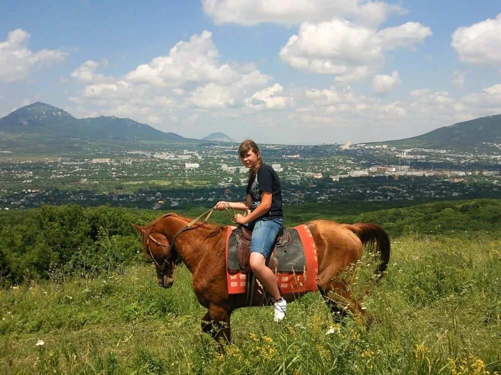 Конный спорт ессентуки. Конюшня пятигорск. Конюшня пятигорск. Конюшня пятигорск. Конюшня пятигорск.