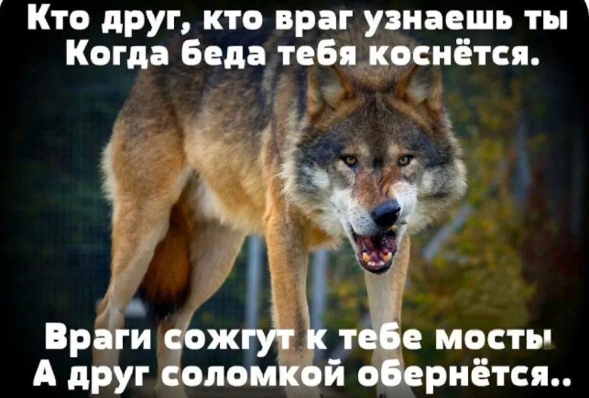Это знаешь не всем ведь дают. Статусы про беду. человека узнаешь в беде. статусы про друзей которые забыли про тебя. друг твоего врага.