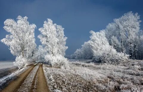 Иней в природе