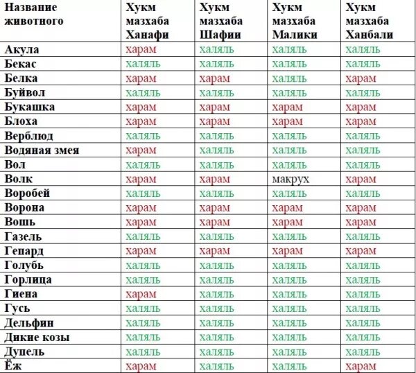 можно ли есть конину в исламе