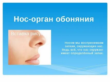Обоняние после операции