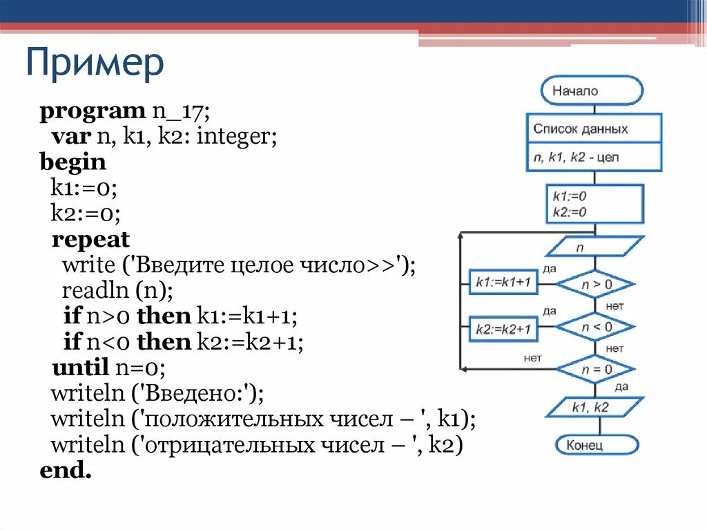 Алгоритм программирования паскаль. Циклический алгоритм на языке Паскаль. Структура линейного алгоритма Паскаль. Информатика 8 класс программирование циклических алгоритмов. Циклический алгоритм на языке программирования Паскаль.