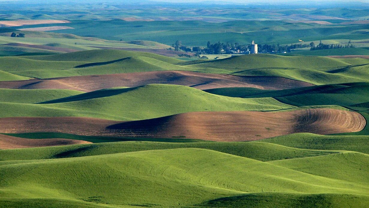 Великие равнины максимальная высота. Холмы Palouse, США. Холмистые центральные равнины Северная Америка. Великие равнины США. Великие равнины Северной Америки.