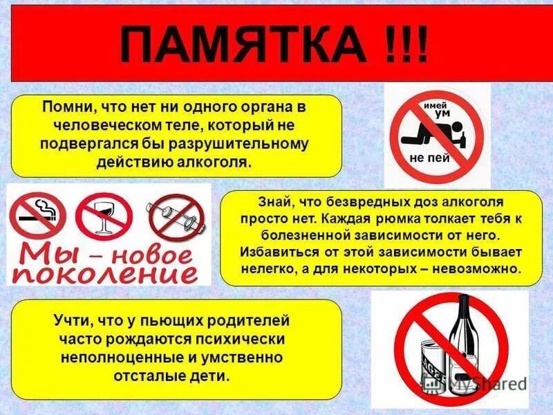 Плекрок нет
