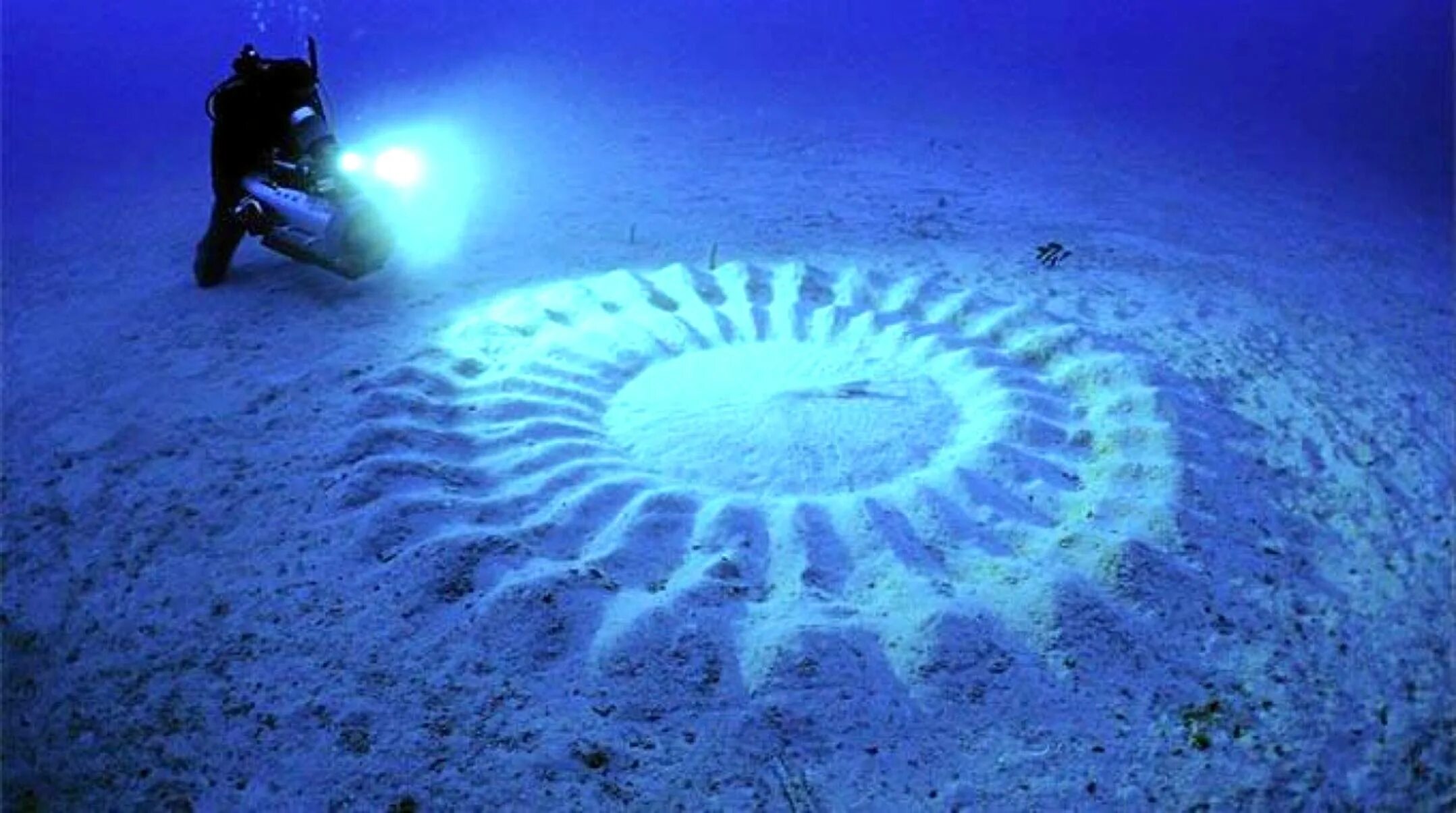 10 явлений воды. Подводные «круги на полях», Япония. Японский иглобрюх рыба. Загадочные явления. Странные подводные объекты.