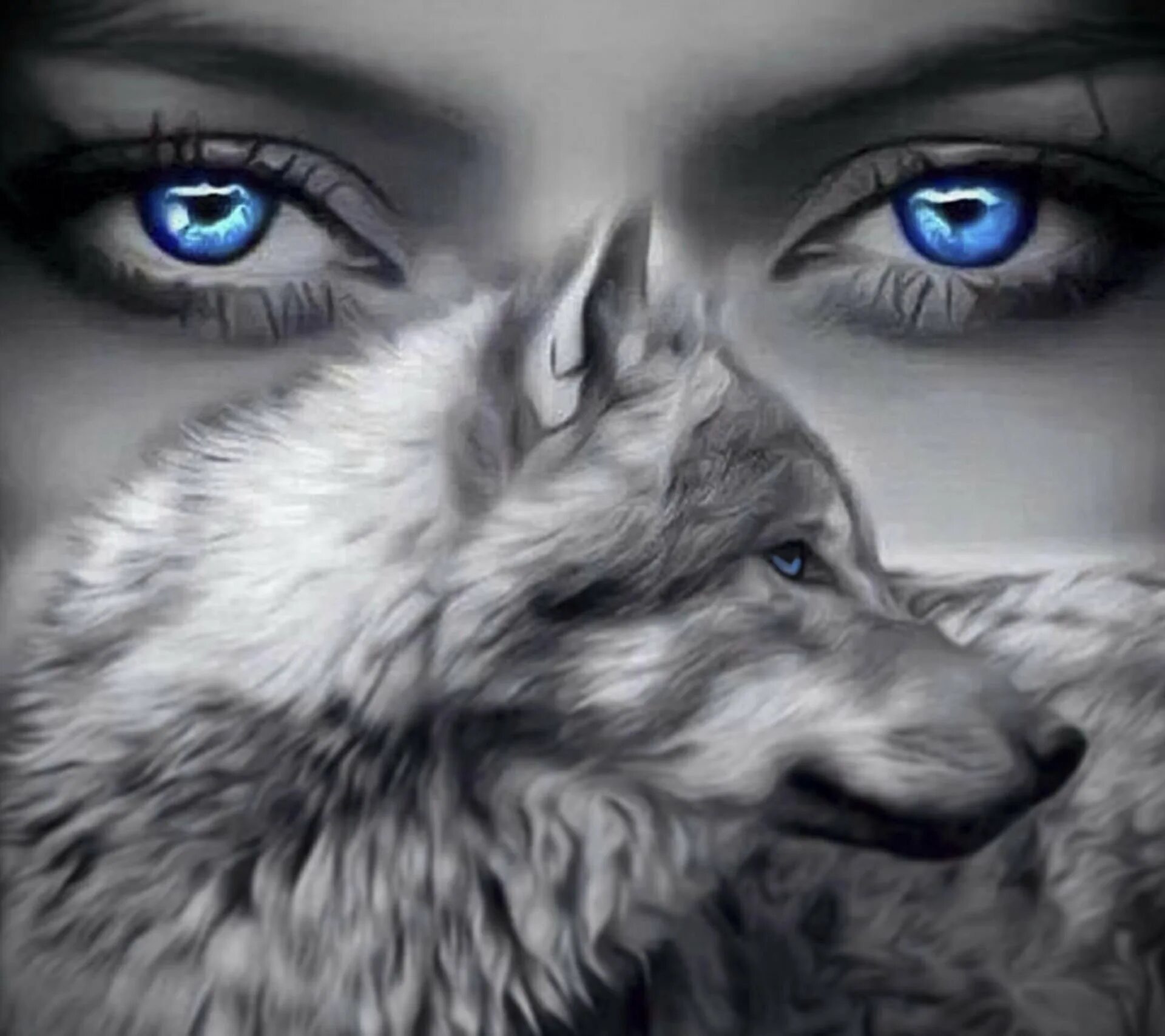 Одинокая волчица читать. Волк на аву. Волчий взгляд. Девушка с волком. Волк и волчица.