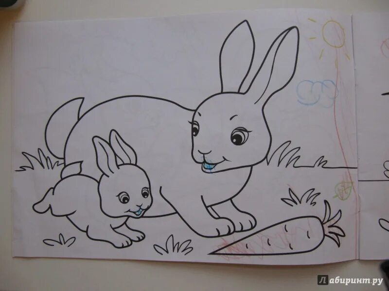 Плакат берегите животных 3 класс рисунок карандашом. Берегите животных рисунки карандашом. Рисунок берегите животных простым карандашом. Срисовки карандашом лёгкие. Рисунки для 2 класса легкие.
