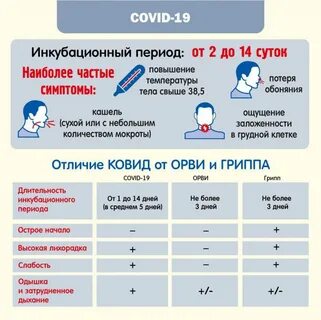 Как отличить Covid-19 от сезонного ОРВИ? - Советское село
