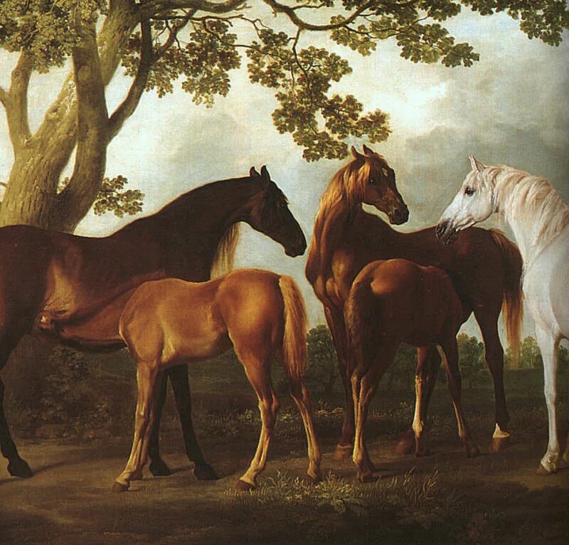 Художник петер смит арабские лошади. Пейзаж с лошадьми. John frederick herring, белая лошадь. Репродукция с лошадьми. Спартако ломбардо лошади.