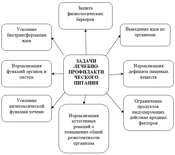 Цель профилактического питания. Лечебно-профилактическое питание. Основные принципы организации.. Основные принципы лечебно профилактического питания. Схема основные принципы лечебного питания. Цели задачи и принципы построения лечебного питания.