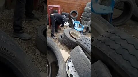 Куда деть колеса