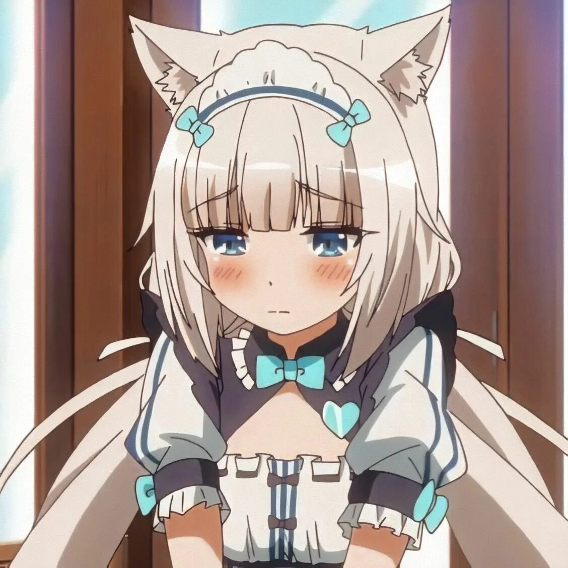 Nekopara Ванилла. Кошачий рай Nekopara.