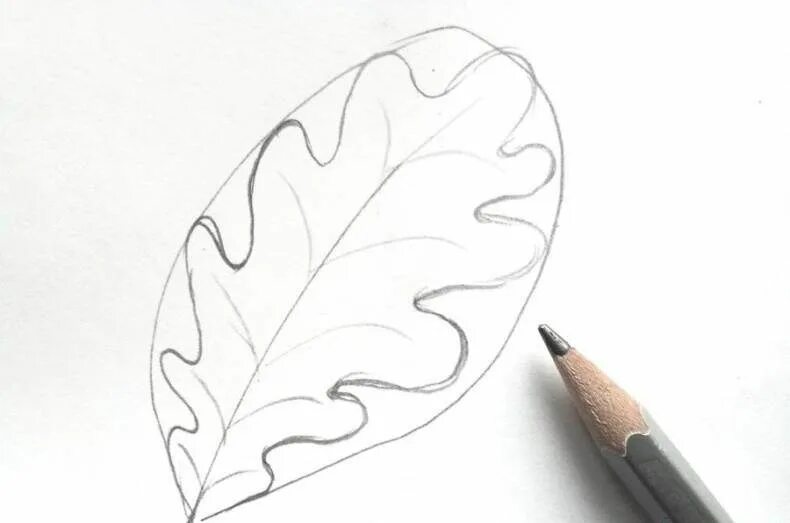 Листья карандашом легко. Листья карандашом. Рисование Дубового листа. Листик рисунок. Рисунок листьев карандашом.