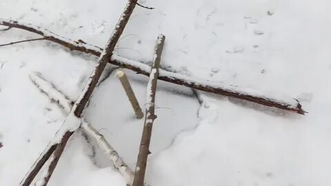 Петля на бобра видео