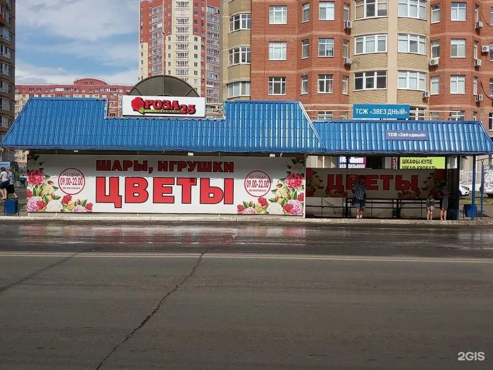 запись на салмышскую оренбург. салмышская 56 оренбург. ул салмышская 11/1 оренбург. салмышская 36 стоматология жемчужина. клиника мусаловой в оренбурге на салмышской.