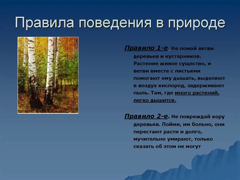 Правило природы. Презентация природе нужны все. Охранять природу правила. Правила поведения на природе. Правила про природу