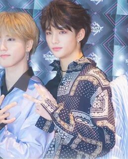 Stray kids everywhere all around