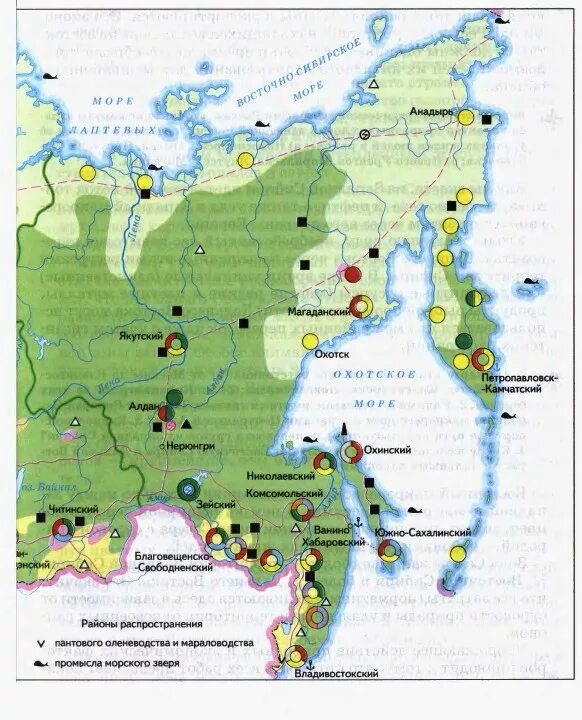 Дальше на карту будут. Полезные ископаемые дальнего Востока на карте. Природные ископаемые дальнего Востока карта. Дальневосточный экономический район карта полезные ископаемые. Дальневосточный экономический район карта промышленности.