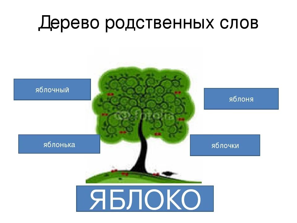 Дерево родственных слов. Яблоко однокоренные слова. Однокоренные слова к слову яблоня. Схема родственные слова. Дерево слов школа