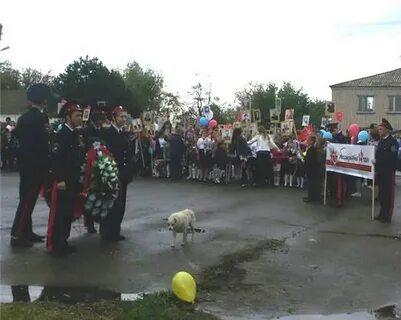 Погода зеленолугский мартыновский