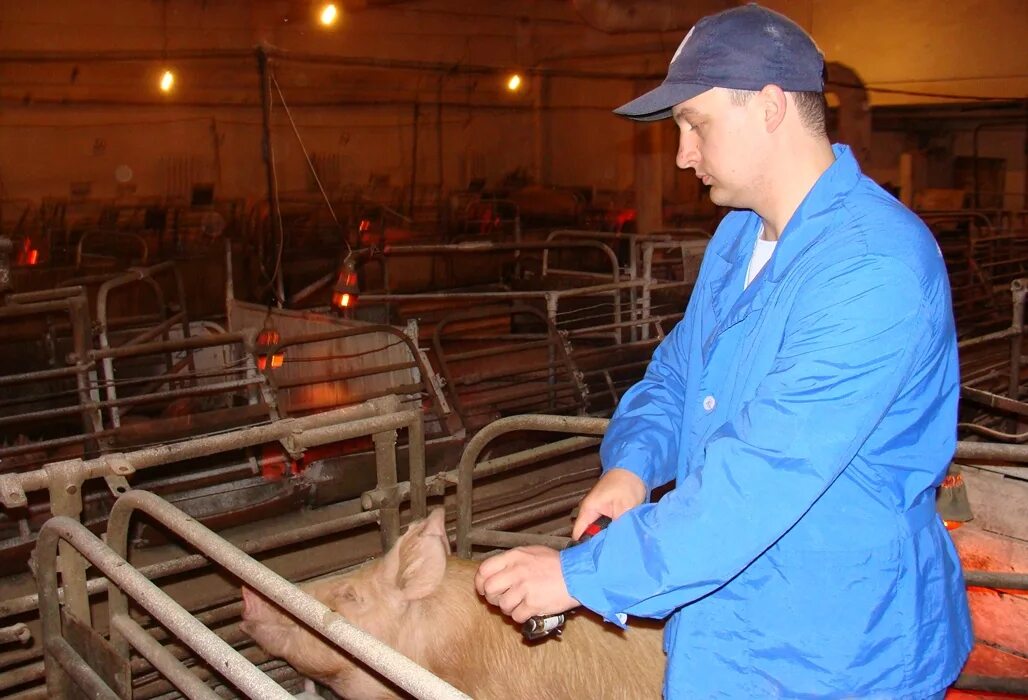 гос ветеринарная клиника. мурманская станция по борьбе с болезнями животных.