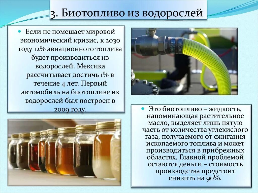 Жидкое биотопливо. Биотопливо презентация. Микроводоросли биотопливо. Газообразное биотопливо.