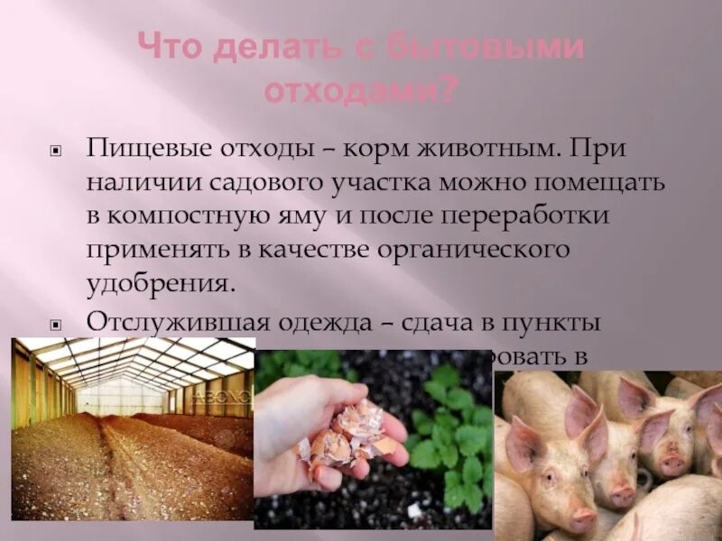 Из чего делают пищевую
