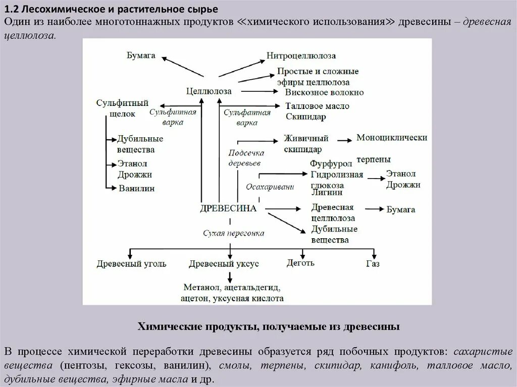 Продукты химической переработки древесины. Древесина продукт переработки в химии. Химическая переработка древесины. Химические продукты, получаемые из древесины. Способы переработки растений