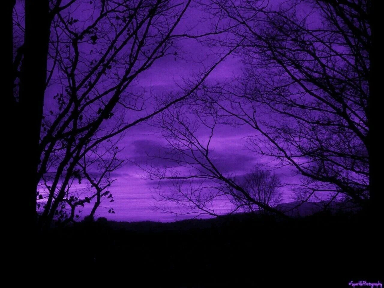 Phonk rain. Фиолетовый. Фифиолет. Темно-пурпурный цвет. Эстетика фиолетового цвета.