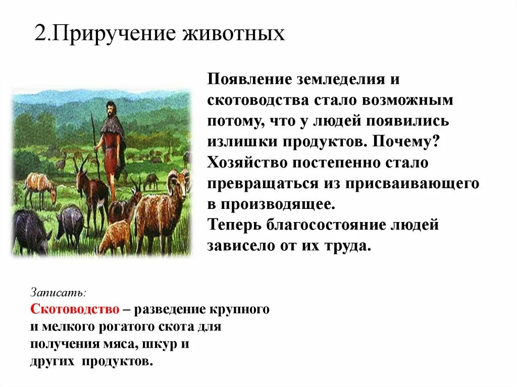 Земледелие история 5 класс кратко. 5 Класс история земледелие и скотоводство возникли. Приручение животных и скотоводство. Возникновение земледелия и скотоводства. Возникновение и становление земледелия и скотоводства.