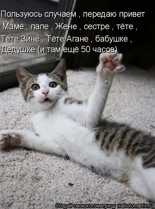 Пользуясь случаем передаю всем привет. Пользуясь случаем передаю привет. Пользуясь случаем передаю привет. Маме привет передавай. Пользуясь случаем передаю привет.